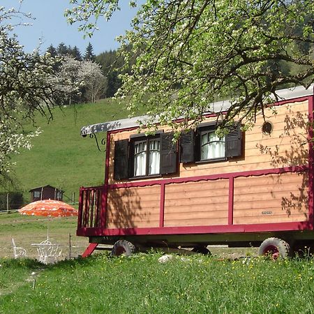 Le Repaire De Mitzerle Villa Mitzach ภายนอก รูปภาพ