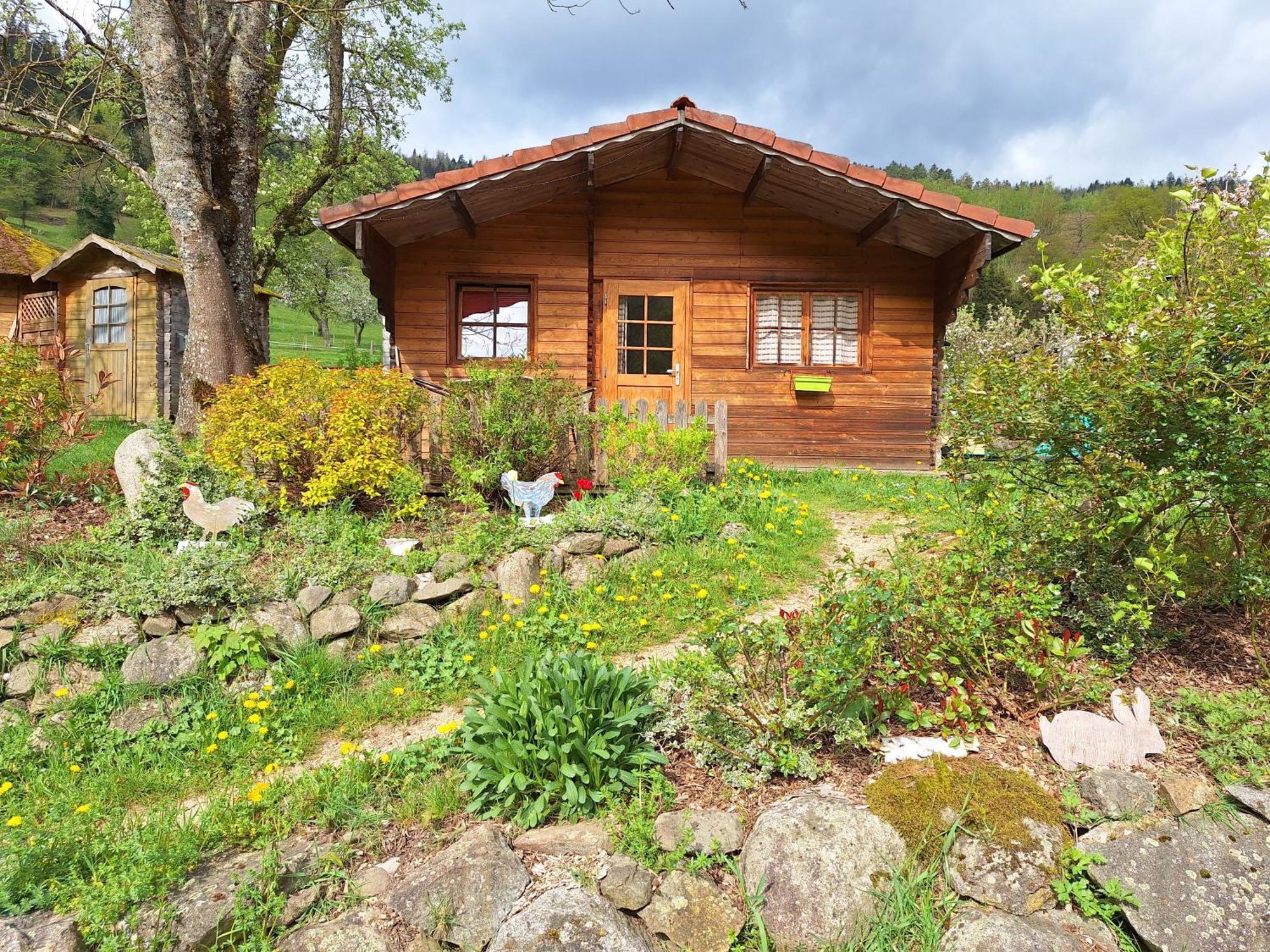 Le Repaire De Mitzerle Villa Mitzach ภายนอก รูปภาพ